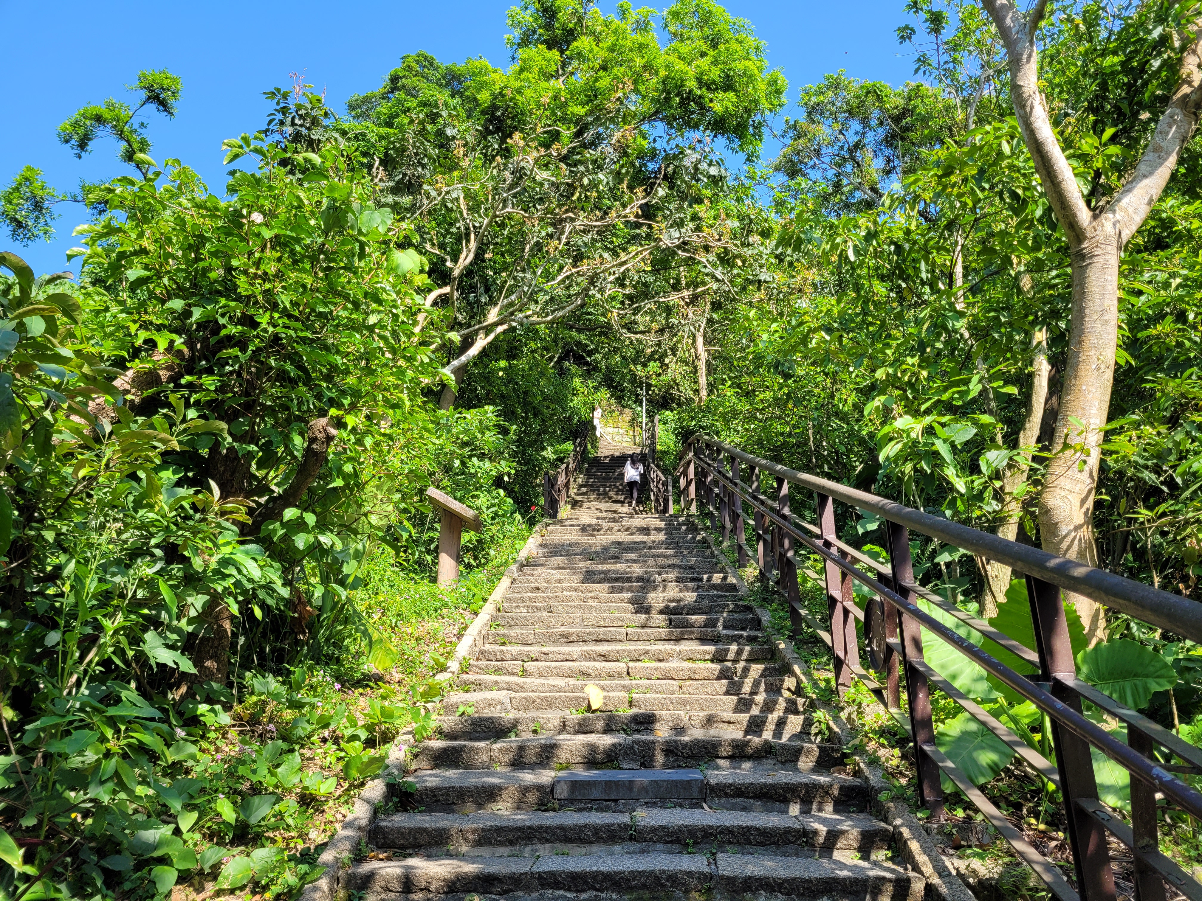 8/06/2025 - Stairs to the Elephant Mountain