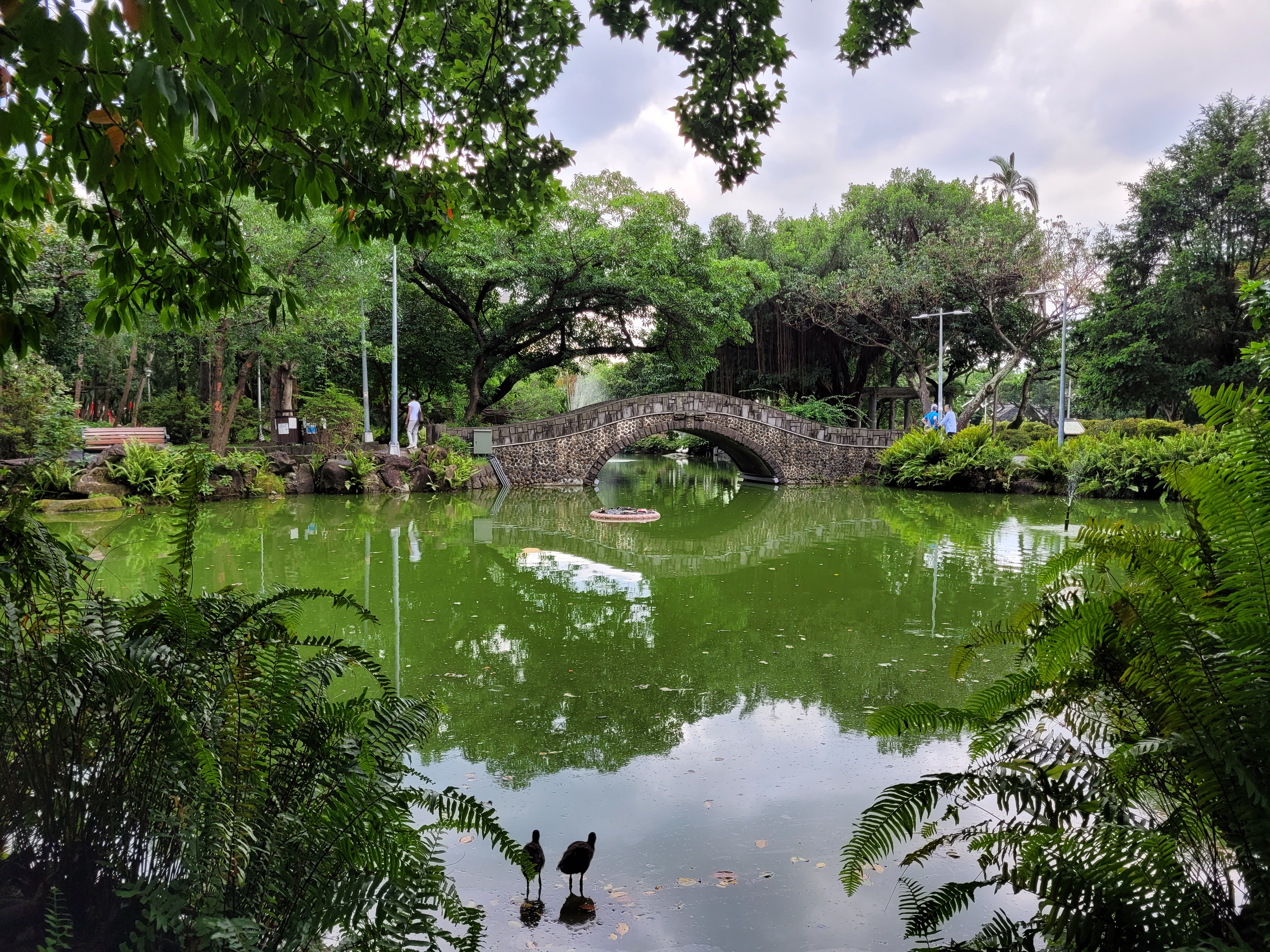 21/06/2025 - Pretty bridge over a lake inside a Taipei park