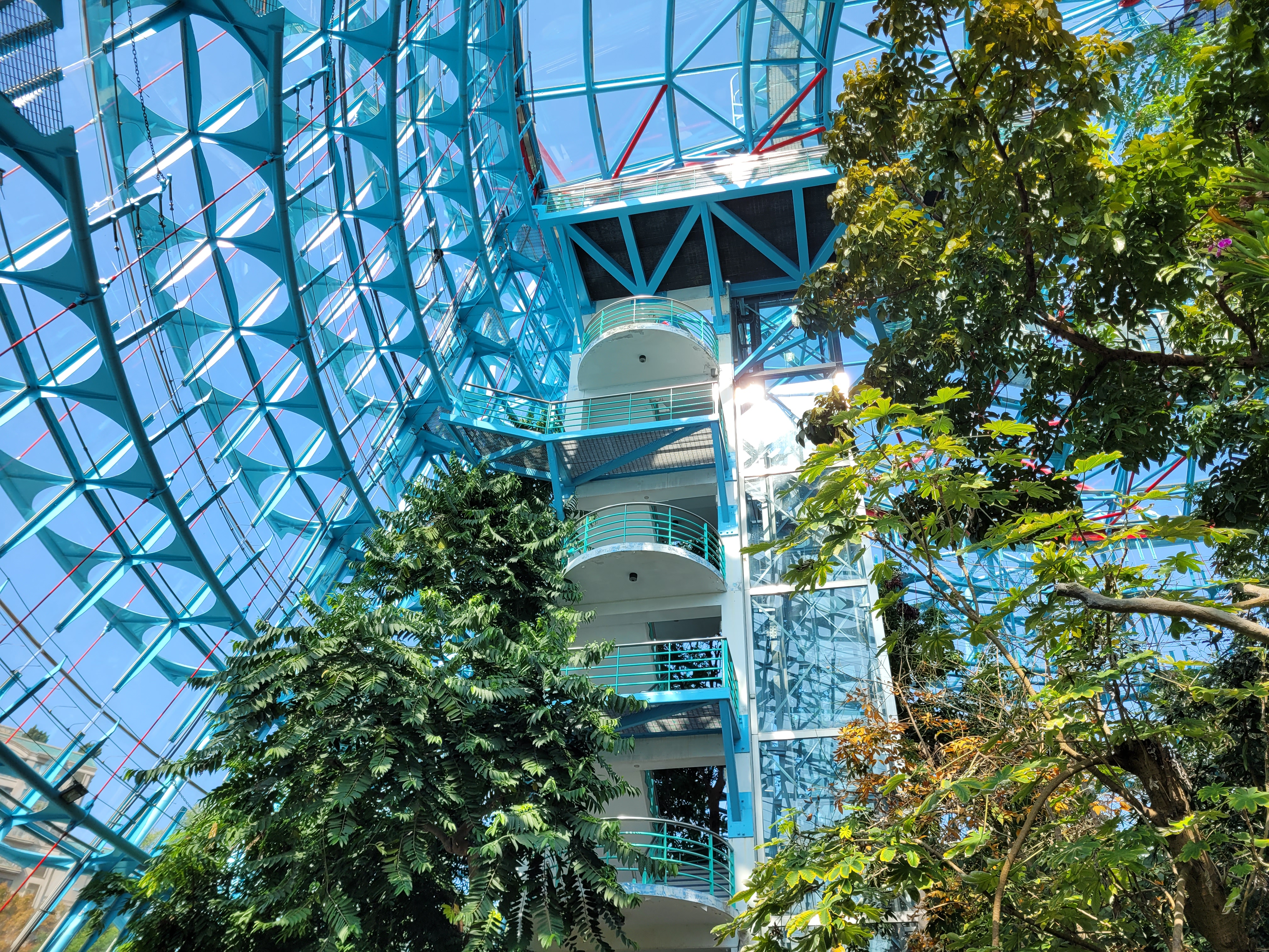 13/03/2025 - Greenhouse botanical garden - overhead -
					This picture was taken inside the huge tropical rainforest greenhouse in Taichung.
					Here is the outsite dome that measures about 31 meters in height and 56 meters in diameter.
					The outer frame is constructed of high precision steel and glass.