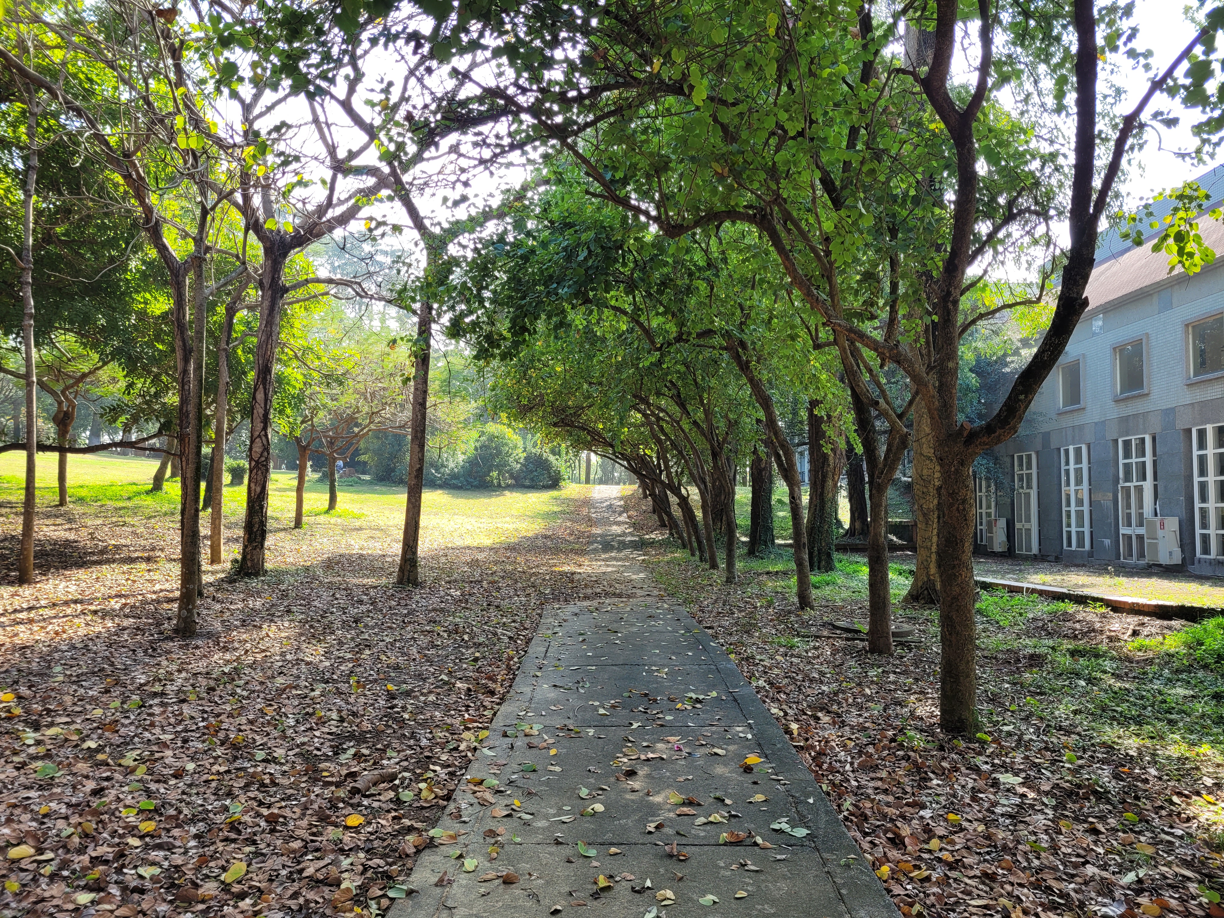 17/02/2025 - Nature hallway