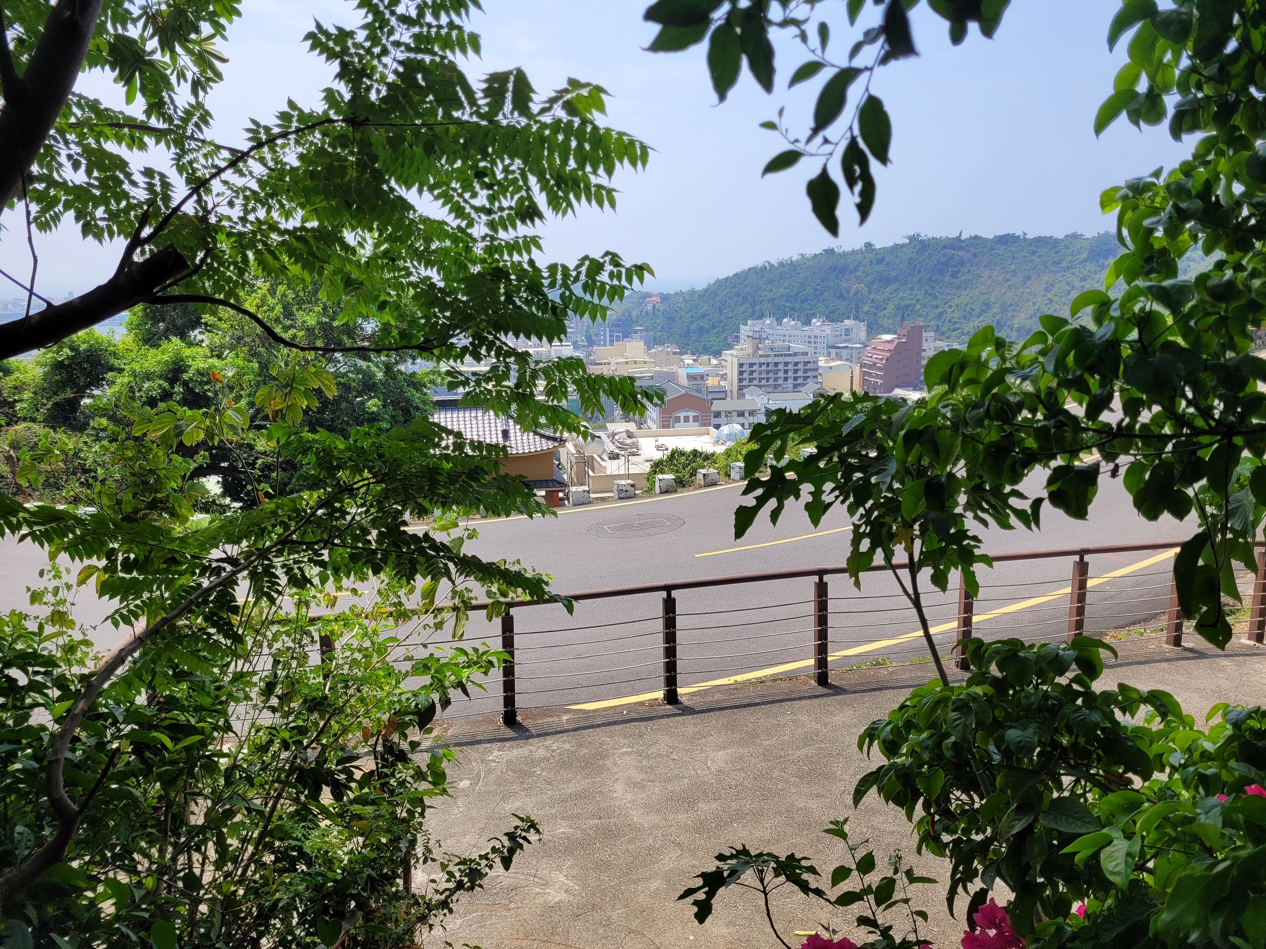04/04/2025 - Kaohsiung through the foliage