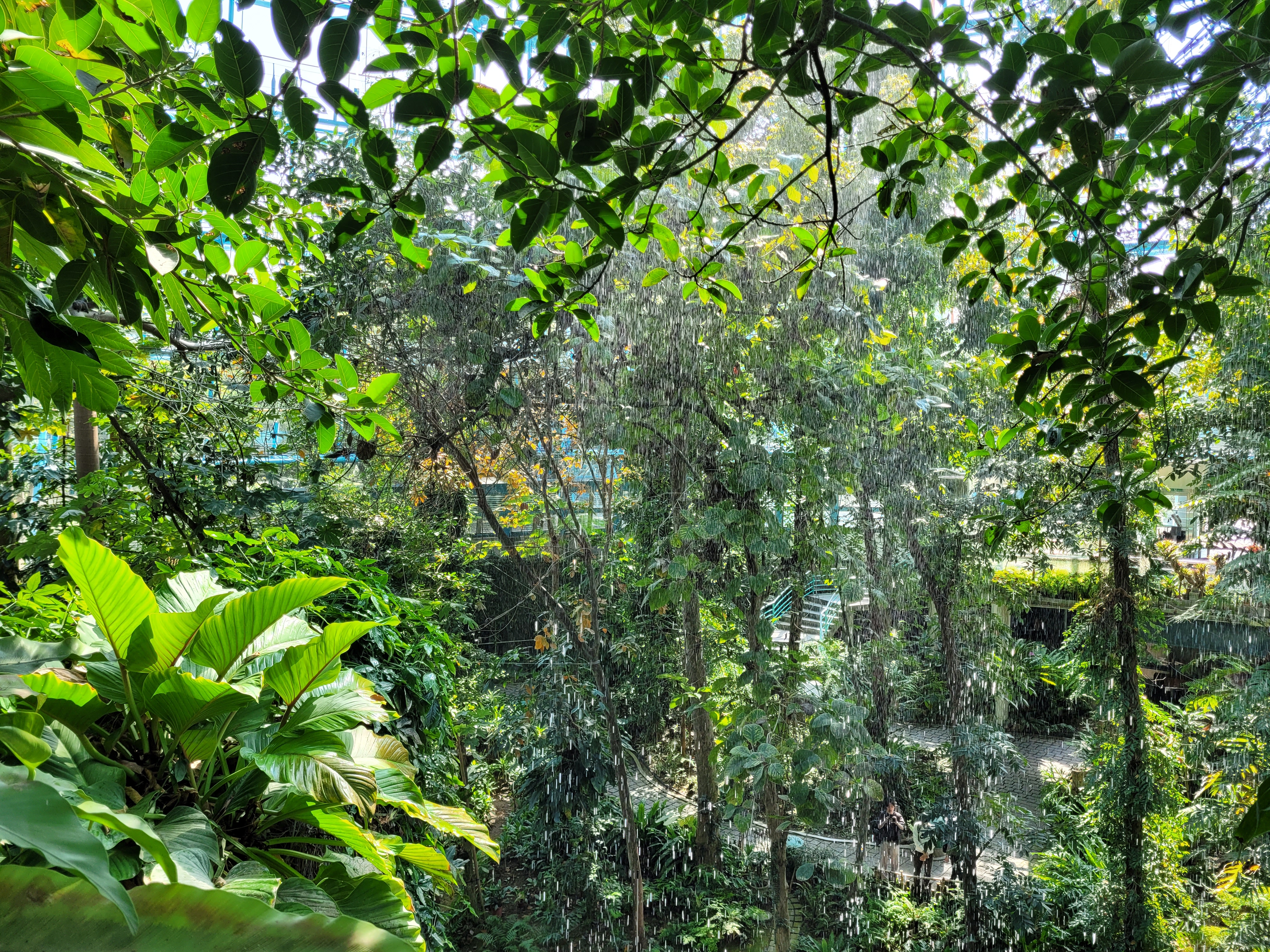 16/04/2025 - Another picture of the Taichung greenhouse